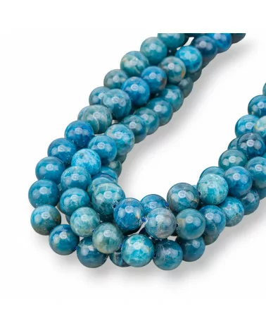 Apatite Scuro Tondo Liscio 11mm-APATITE | Worldofjewel.com