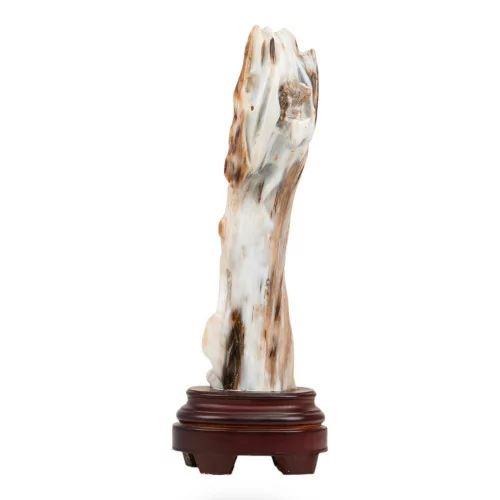 Statue - Fossil Wood With Wooden Base Height 36cm COD 81250