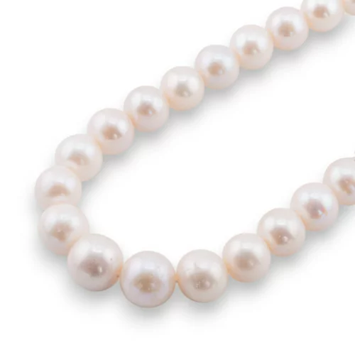 Perles de rivière rondes premium 11,5-13,0 mm AAAA Blanc