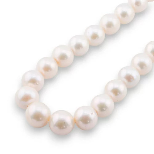 Premium Round River Pearls 12,0-16,0mm AAAA+ Λευκό