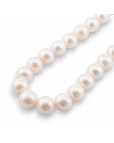 Perle di Fiume Tondo Premium 12,0-16,0mm AAAA+ Bianco-TONDO | Worldofjewel.com