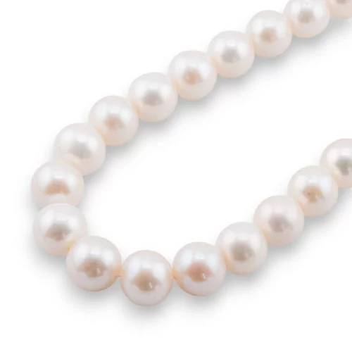 Perles de rivière rondes premium 13,0-14,5 mm AAAAA Blanc