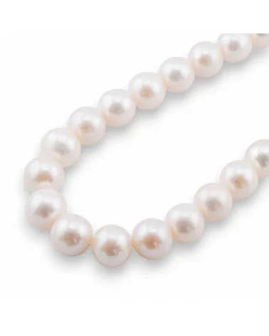 Perle Di Fiume Tondo Premium 13,0-14,5mm AAAAA Bianco-TONDO | Worldofjewel.com