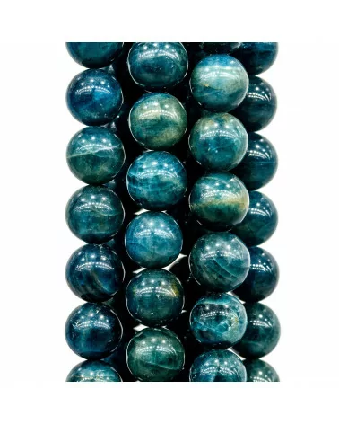 Apatite Scuro Tondo Liscio 7mm-APATITE | Worldofjewel.com