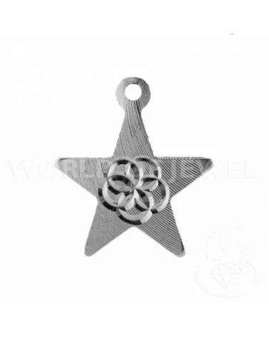 Componente Di Argento 925 Piastra Stella 14mm 10pz Rodiato-CONNETTORI LISCI | Worldofjewel.com